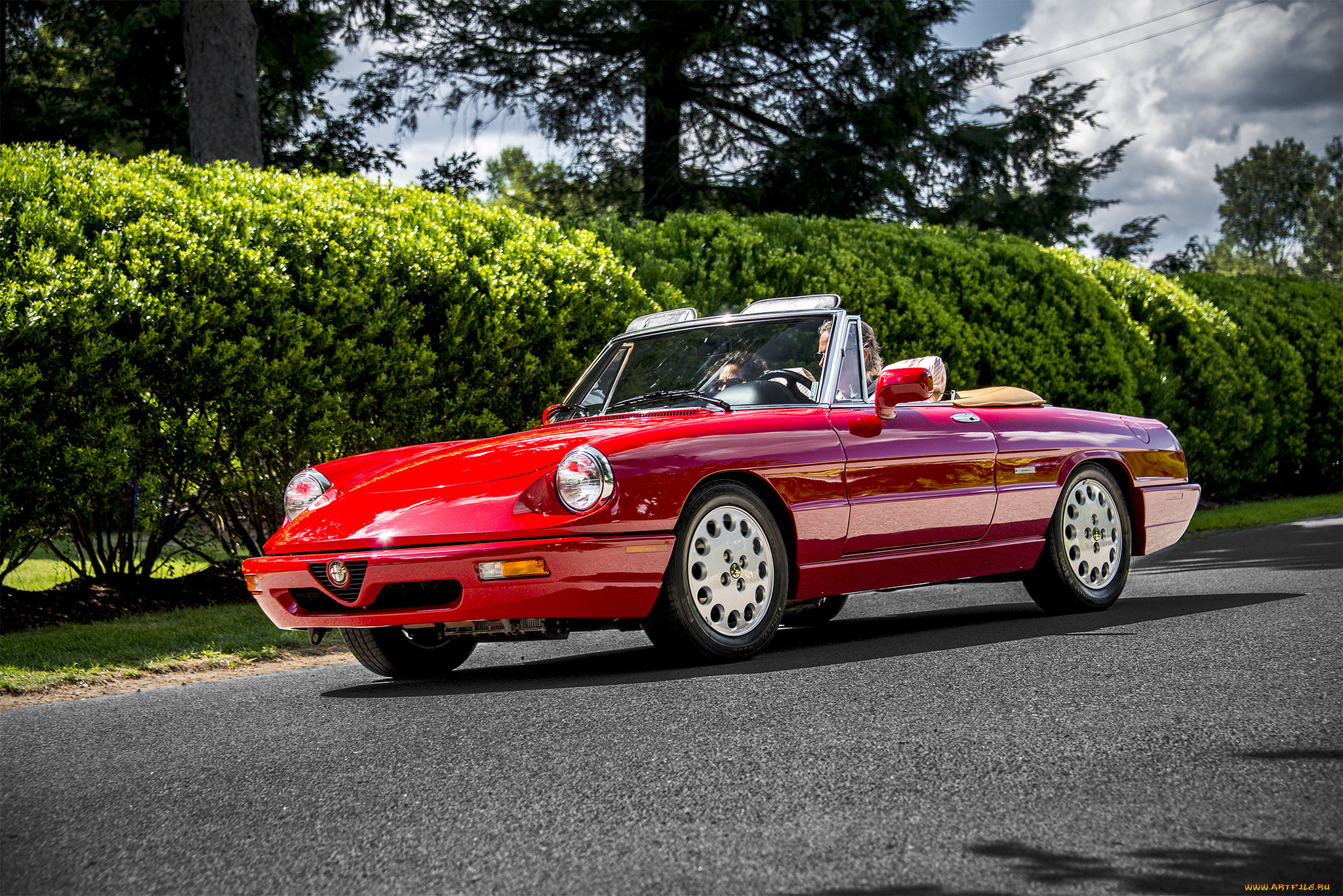 alfa romeo spider, , alfa romeo, , , 